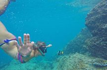 Krabi 4 Island Morning Cruise with Snorkeling & Gourmet Breakfast
