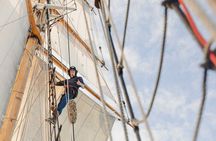 Bay of Islands Tall Ship Sailing on R. Tucker Thompson Including BBQ Lunch