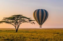 6 Days best adventure kilimanjaro ,Tarangire ,Serengeti &Ngorongoro crater 