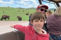 JEEP Bison Safari with Sylvan Lake/Needles Highway/Iron Mtn Road 
