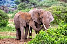 3 Days All Inclusive Zanzibar to Tarangire Ngorongoro