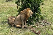 3-Day Masai Mara and Naivasha Hell's Gate National Park-Safari