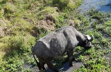 4-Day Masai Mara and Lake Nakuru Jeep Safari
