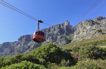 Cape Town Table Mountain Cape Point Penguins Full-Day Private Tour