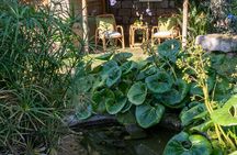 Sorrento's Tasty Garden