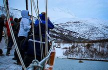 Tromso Luxury Sailing Yacht Polar Fjord Cruise with Lunch
