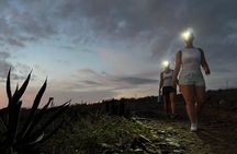 Todos Santos Sunset Hike 