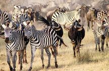3Days Safari to Tarangire Ngorongoro and manyara lodge safari 