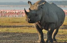 3Days Safari to Tarangire Ngorongoro and manyara lodge safari 