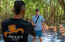 Full-Day Tour Isla Baru - National Aviary of Colombia and Playa Blanca