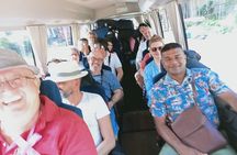 Private Full Day Tour in Dambulla & Sigiriya
