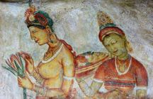 Private Full Day Tour in Dambulla & Sigiriya
