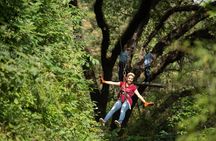 Canopy Experience in Cola de Caballo