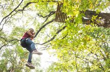 Canopy Experience in Cola de Caballo