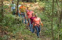 Canopy Experience in Cola de Caballo