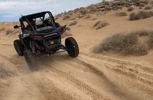 UTV Nellis Bad Land Quest Half-Day Tour