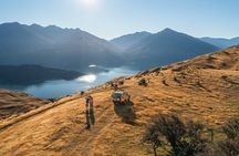 Wanaka 4x4 Explorer The Ultimate Lake and Mountain Adventure