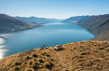 Wanaka 4x4 Explorer The Ultimate Lake and Mountain Adventure