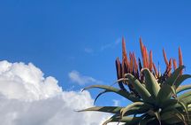  Tours of Santa Barbara 