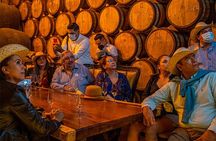 Private Day Adventure Tour in Tequila and visit to the Castle of Tequila