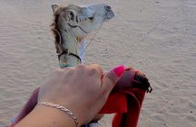Saudi Arabia Private Tour from Bahrain with traditional meal