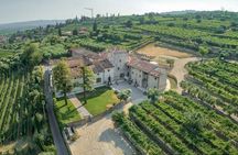 Guided Tour in a Venetian Villa with Valpolicella Wine Tasting
