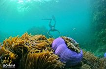 4 Islands & 2 Reefs - Discovery Snorkeling & Relaxing (MAX 12)