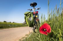 Half-day Hoi An Countryside Bike Tour