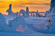 Half-Day Snowshoe Trip from Prague