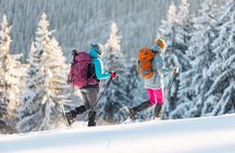Half-Day Snowshoe Trip from Prague
