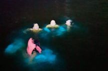Tour to the Bioluminescent Lagoon of Manialtepec