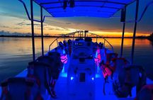 Tour to the Bioluminescent Lagoon of Manialtepec