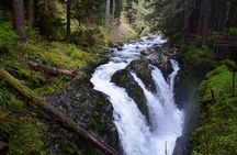 Sol Duc, Lake Crescent, and Hurricane Ridge Guided Tour in Olympic National Park