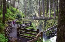 Sol Duc, Lake Crescent, and Hurricane Ridge Guided Tour in Olympic National Park