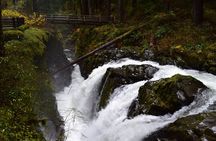 Sol Duc, Lake Crescent, and Hurricane Ridge Guided Tour in Olympic National Park