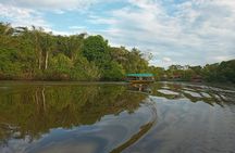 Itaya & Amazon River - All tickets included