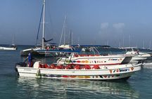 Exclusive Saona Island Adventure for Private Groups in Punta Cana