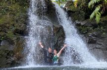 VIP Private Full-Day Road to Hana Tour from Lahaina-Kapalua
