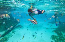 Isla Mujeres Tour, Snorkel and Golf Cart included