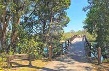 Secrets of Noosa Tour with Oceanview Lunch, Nature & Noosa River Ferry