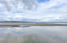 Secrets of Noosa Tour with Oceanview Lunch, Nature & Noosa River Ferry