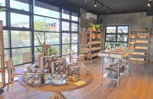 Secrets of Noosa Tour with Oceanview Lunch, Nature & Noosa River Ferry