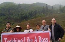 Trekking Like A Boss around Sapa with options