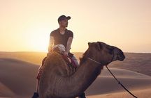 Morning Desert Safari with Camel Ride and Sandboarding