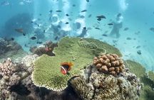 Watersport Bali : Seawalker, Jet Ski, Donut Boat and Banana Boat