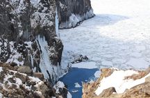 3.5hours Primeval Forest Snowshoe hike and Wildlife Watching Tour