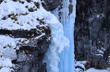 3.5hours Primeval Forest Snowshoe hike and Wildlife Watching Tour