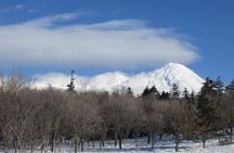 3.5hours Primeval Forest Snowshoe hike and Wildlife Watching Tour