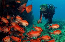 Half-Day Diving in Sal