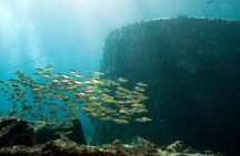 Half-Day Diving in Sal